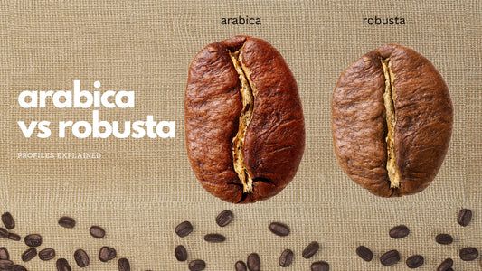 Navigating the World of Coffee Beans: A Guide for Coffee Enthusiasts in Malta - Moak International Distributors Malta