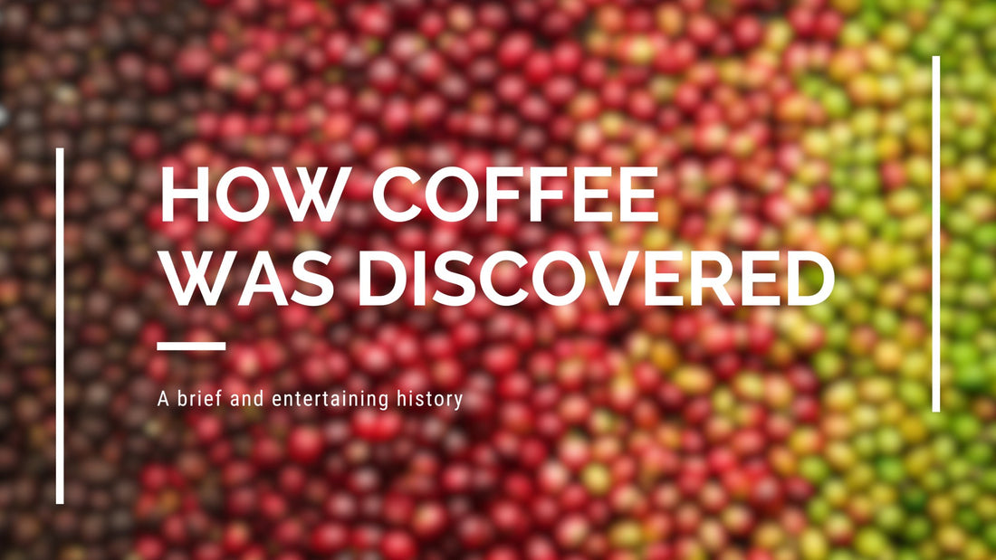 Coffee - It's Origins - Moak International Distributors Malta