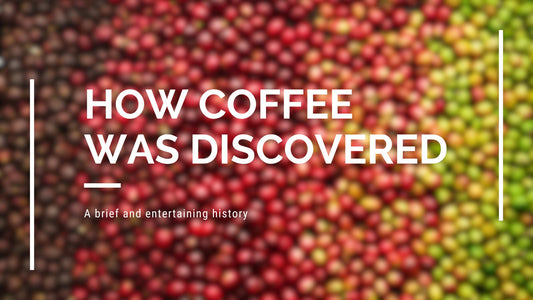 Coffee - It's Origins - Moak International Distributors Malta